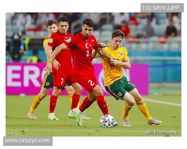 德国与荷兰足球历史交锋记录分析与回顾