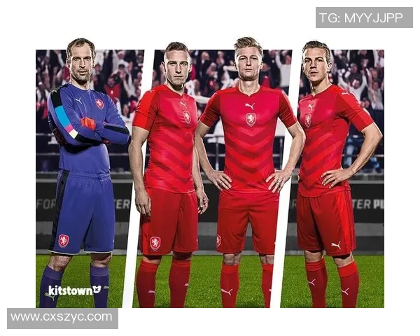 捷克与乌克兰下半场精彩对决分析与战术解读